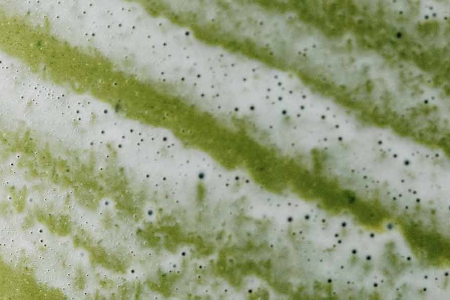 Matcha: Nem só de café vive o barista